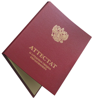 Онлайн-школа с аттестатом государственного образца Онлайн-школа с аттестатом государственного образца