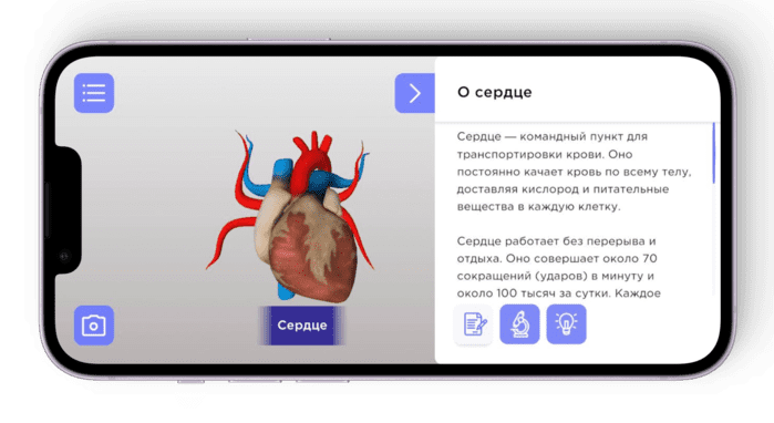 Изучение <span style="color:#c953e7">разделов темы</span>