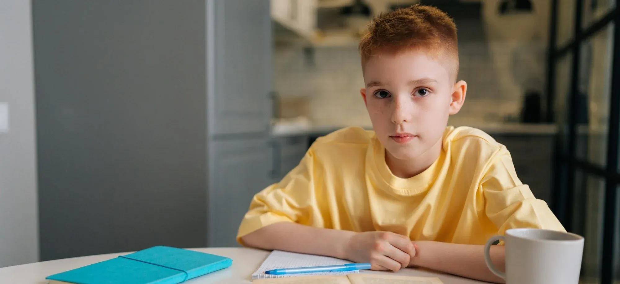 Запрет решебников и материалов ОГЭ и ЕГЭ: что предлагает Минпросвещения и какие будут последствия Запрет решебников и материалов ОГЭ и ЕГЭ: что предлагает Минпросвещения и какие будут последствия