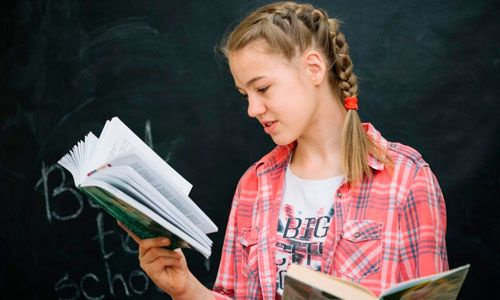 Подготовка к ОГЭ по литературе