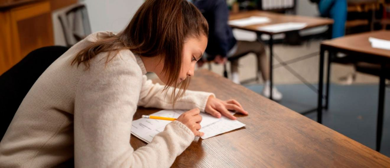 Мораторий или новый статус: что будет с ВПР в школах?